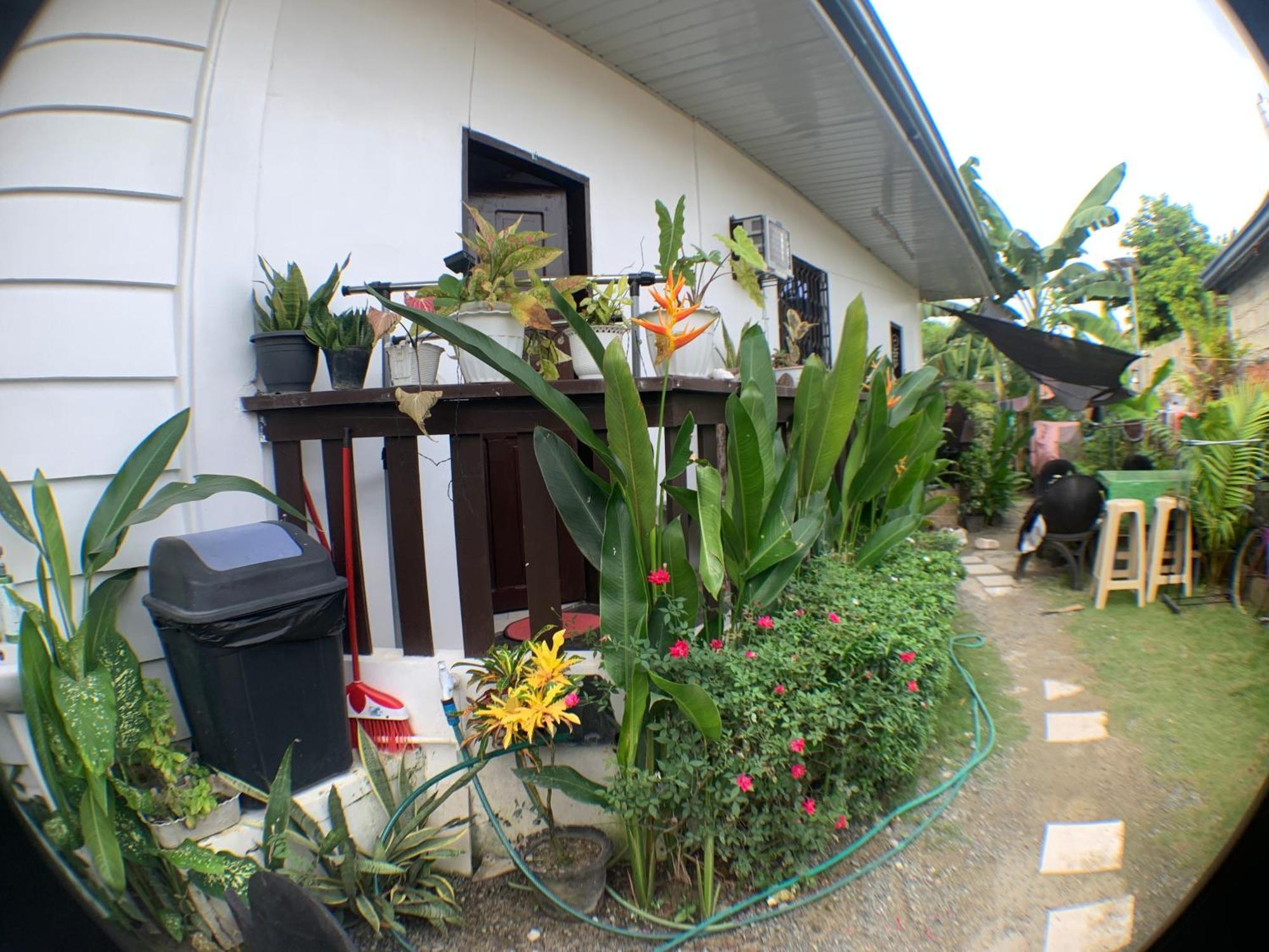 Jml Homestay General Luna  Extérieur photo